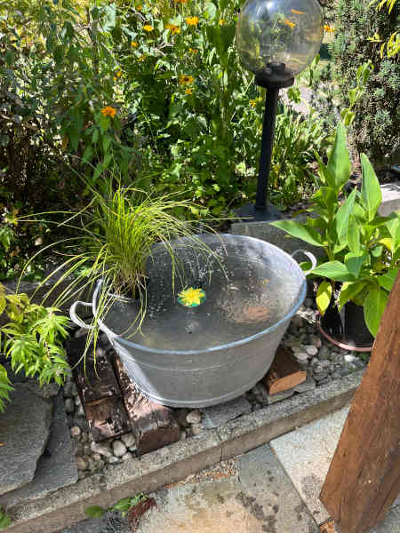 Waschbottich als Gartenteich mit Springbrunnen